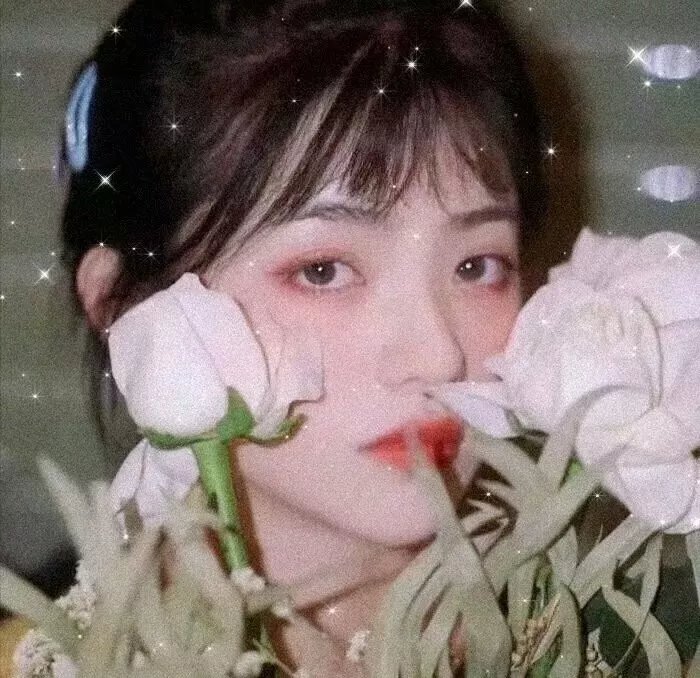 我的天才宝贝
